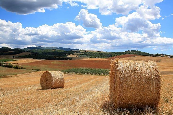 مونتيزبيرتولي Appartamento Old England In Chianti المظهر الخارجي الصورة
